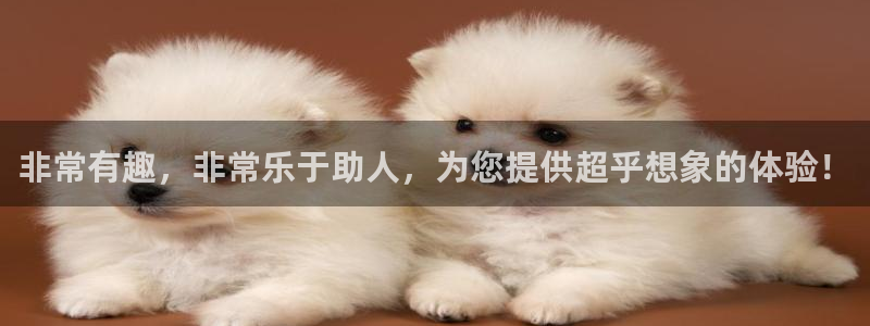 彩神vii官方：非常有趣，非常乐于助人，为您提供超乎想象的体验！