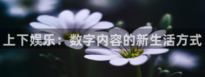 彩神vii官方：上下娱乐：数字内容的新生活方式