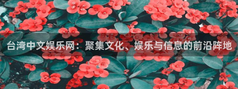 彩神vii官方：台湾中文娱乐网：聚集文化、娱乐与信息的前沿阵地