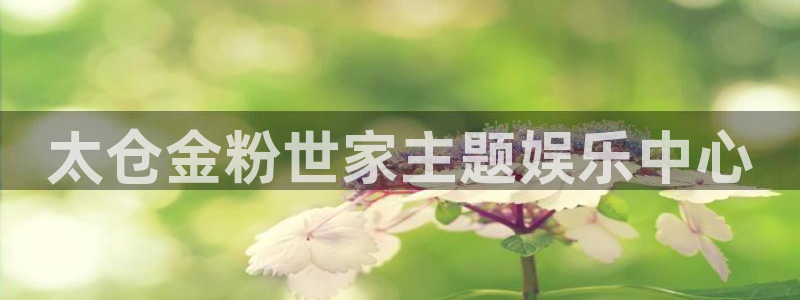 彩神vii官方：太仓金粉世家主题娱乐中心